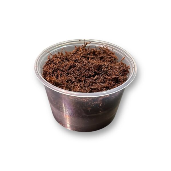 Tree Fern Fibre 1L