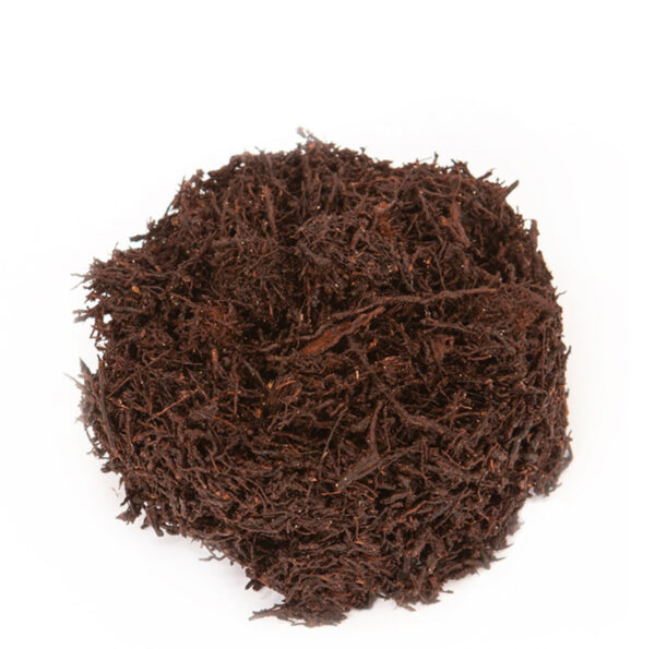 IMG_3401 Tree Fern Fibre 1L